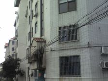 中间楼层,视野好,总价低,诚意卖