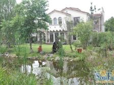 产权清晰,现场实勘,精装,必看好房