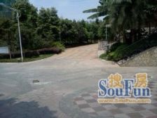 农业园区 皇洋伽蓝艺墅二期四房310万