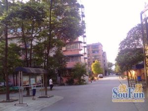 西安路小区3室1厅南