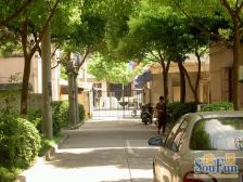 中间楼层精装修飞机户型出门公园