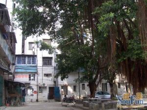 红本在手无欠款,业主诚心出售,看房随时方便