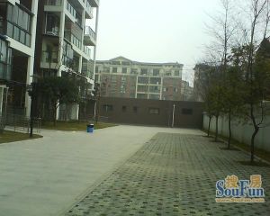 金强大学城3室2厅南西南
