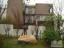 景观房,精装好房,电梯房,得房率高