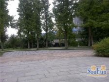 索尔龙舟 1室1厅 南