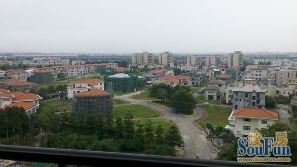 朝阳花地