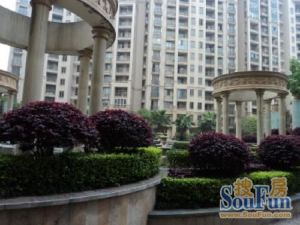 地铁口小高层板楼二梯三户拎包入住洋房