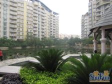 碧水天源大平台 315平方大五房 电梯入户 豪 宅标配