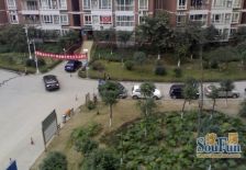 蜀都花园 2室1厅 南