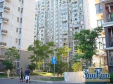 采光足,带阳光房, 带阁楼 拎包入住 随时可看
