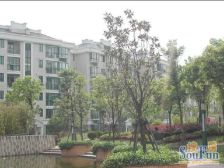 电梯房,大开间,厨卫朝北,品质小区