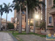 塞纳河畔高层精装三房,看江景,业主诚意出售!