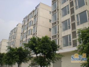 金泉阳光畅新苑2室1厅西南