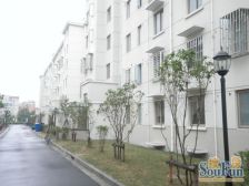 全明户型 超大阁楼 婚房装修 诚心出售