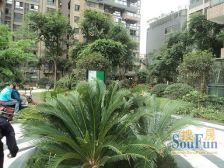 中大君悦金沙一二期 3室2厅 西南