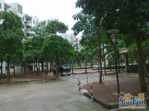 金湾东咀海景花园电梯大三房
