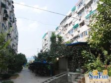 石化九村 2室1厅 南