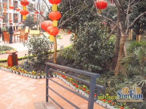 泽科兴城