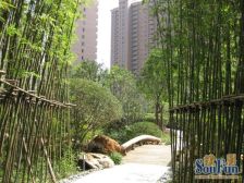 全朝南户型,价格可谈,关键有钥匙随时看房