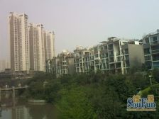 龙头寺公园旁 精装三房 保养好 视野看中庭 采光良好