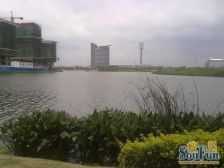 旭辉玫瑰湾 5室3厅 南