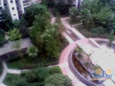 鲁能星城五街区住家装修三房带字标