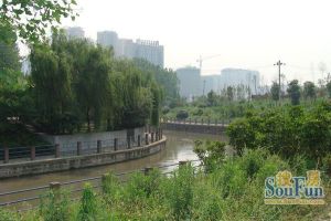 中海金沙府3室2厅东南