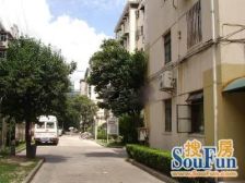 金杨新村九街坊 2室1厅 南 北