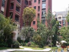 新里柏仕公馆 1室1厅 东