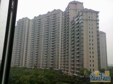 环境优美,自住改善小区,人车分流