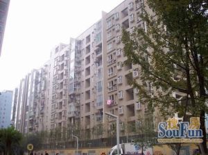 新巢小区二期1室1厅南