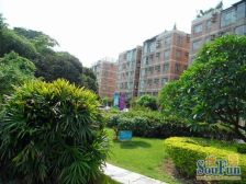 此房一楼带130平的大花园,户型好,端头位,安静。