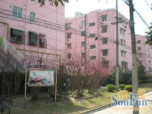 华泾·华建一街坊·1室·1厅