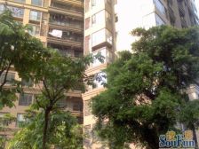 保利花园一期 172方 安静位置 中高层