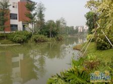 丽水佳园 联排别墅 精装修 业主诚心出售 看房方便