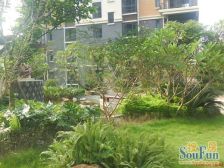 地铁口小区,国企物业单位,南向户型,实用三房。