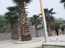 轻轨房,公交地铁方便,环境舒适,公园多绿化