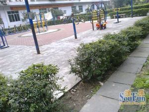 西藏地质花苑3室2厅南北
