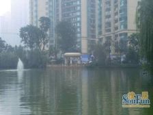 大坪 恒大名都三房190万