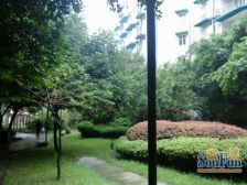 金牛新都会 3室2厅 东南 西南