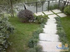 正南户型南 诚意出售业主置换随时可看