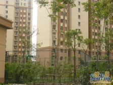 主卧朝南,交通便利,环境优美,居家装修