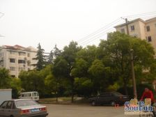 长桥·长桥新村东区·1室·1厅