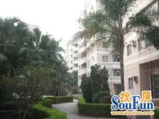 靓装修三房 诚意出售 南向光线好