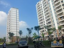 景观房 森兰商圈 中间位置不靠路 牡丹园 洲海路地铁