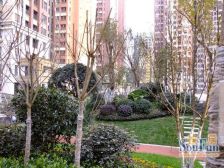 华润橡树湾B区 4室2厅 东南