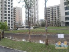 曼哈顿主小区内 大两房 户型方正 生活方便