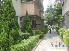 丽城花园 3室2厅 东南