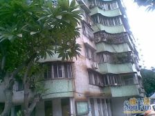 市府大院原装电梯大三房 配套成熟,安静不吵