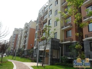 斑马湖 小高层洋房 南北朝向格局 户型周正 楼层好